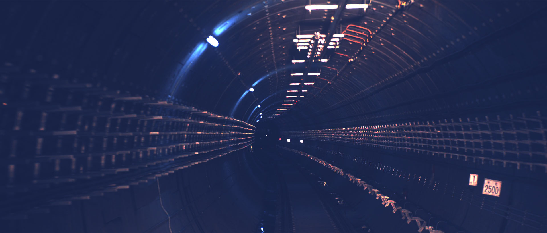 上海助騰網站設計制作開發公司推薦案例-普若米-1