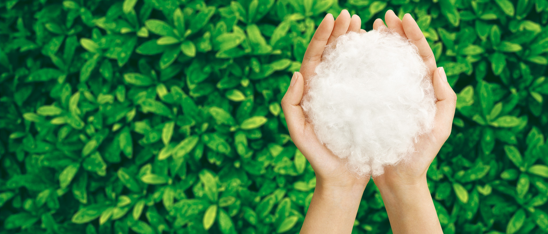 上海助騰網(wǎng)站設(shè)計制作開發(fā)公司推薦案例-優(yōu)可絲-1