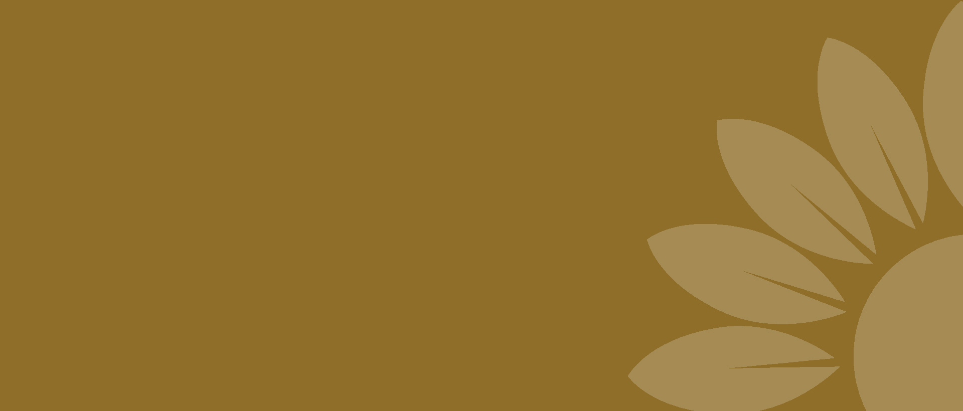 上海助騰網站設計制作開發公司推薦案例-創健有明-1