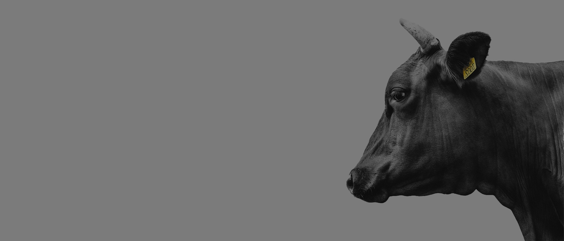 上海助騰網站設計制作開發公司推薦案例-阿發進口生鮮-1