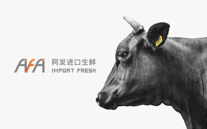 上海助騰科技-網(wǎng)站設(shè)計(jì)制作案例